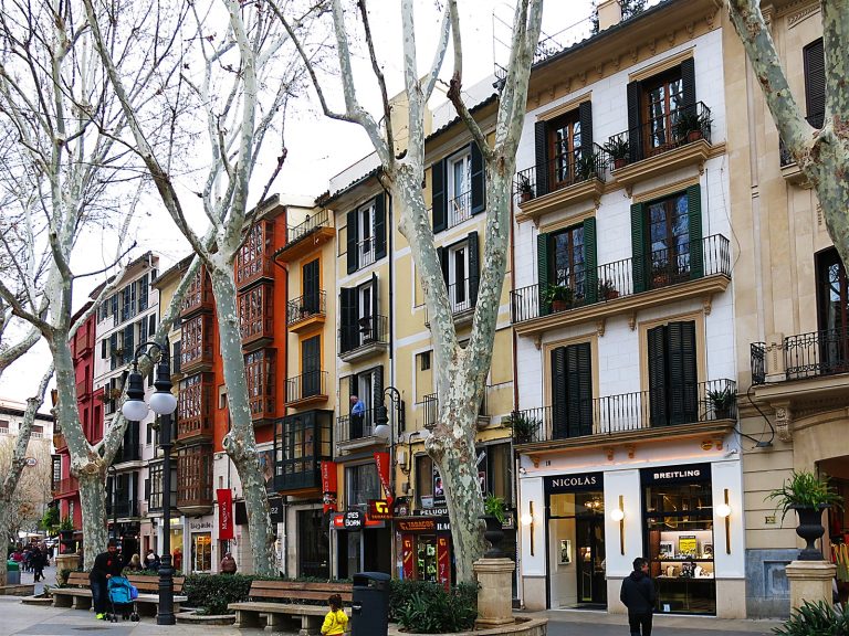 Shops and townhouse facades along the tree-lined Passeig del Born in Palma