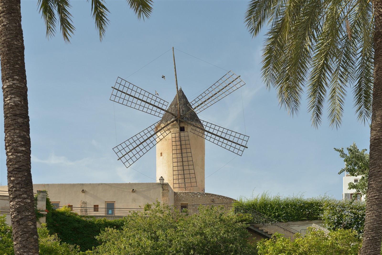 A restored windmill framed by palm trees near the Santa Catalina district of Palma